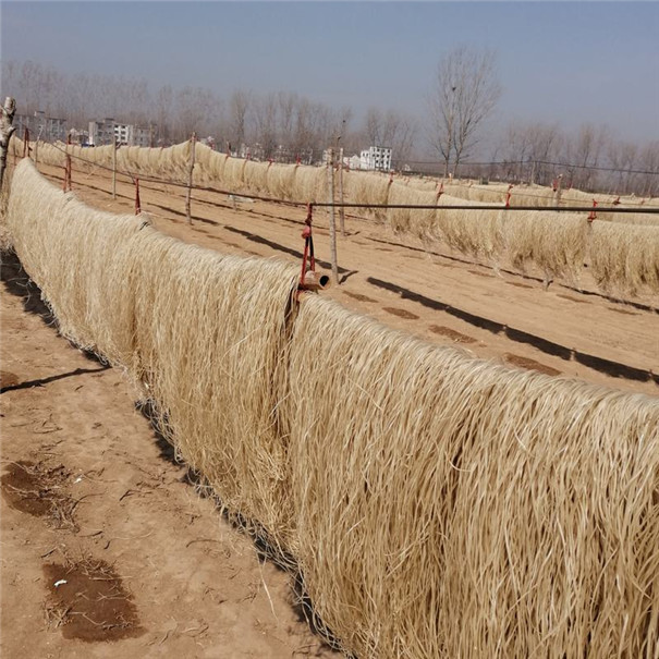 農(nóng)村加工的粉條粉絲為何大受歡迎