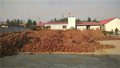預算有限，加工量小的如何選擇紅薯粉條機？這幾種可能適合你
