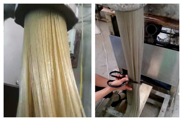 粉條機加工工藝及流程大全，擠出式的粉條制作方法很簡單！