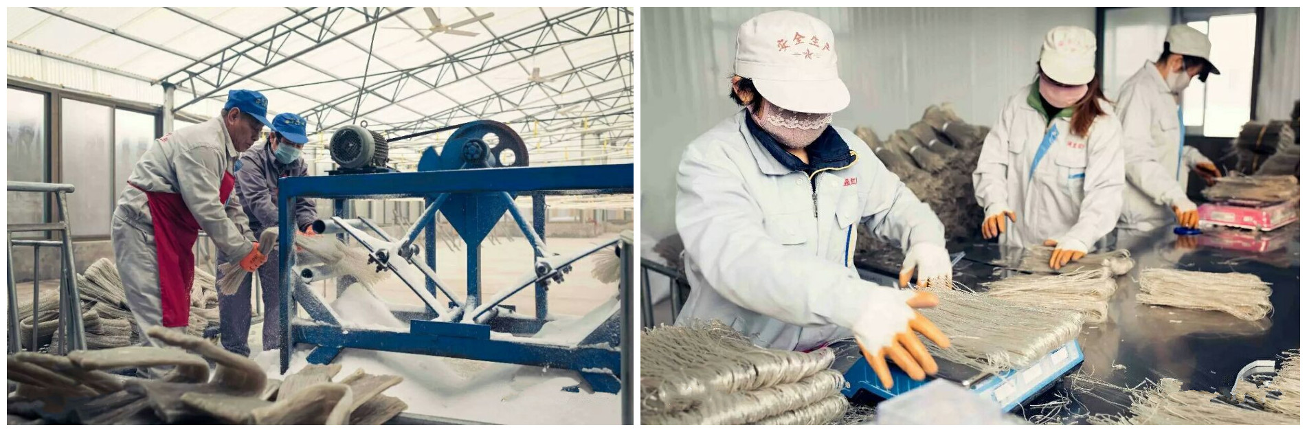 詳細教程來了！漏瓢式紅薯粉條機加工設備的工藝流程