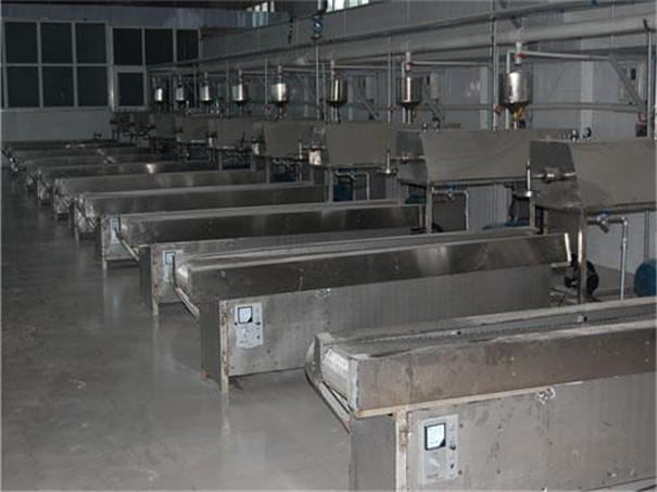 選擇粉條機(jī)廠家的注意事項(xiàng)