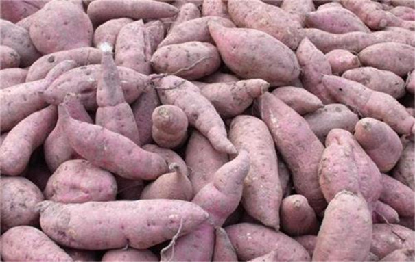 紅薯到粉條的制作過程