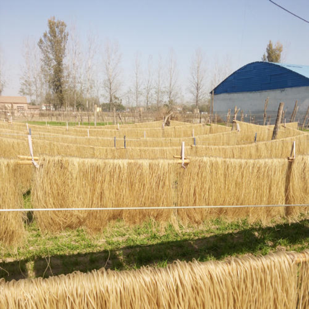紅薯粉絲粉條加工產業發展中普遍存在的問題