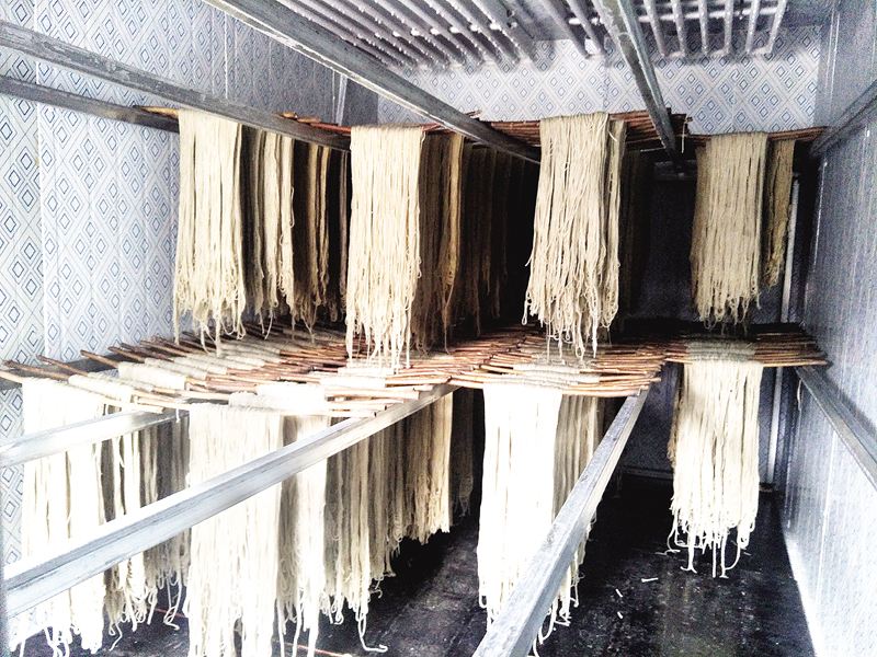 粉條機再好，冷凍也不能隨便！