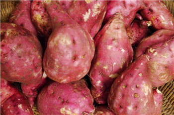 紅薯粉條是怎樣加工出來的？時(shí)產(chǎn)4-5噸紅薯粉條加工項(xiàng)目的成本利潤是多少？