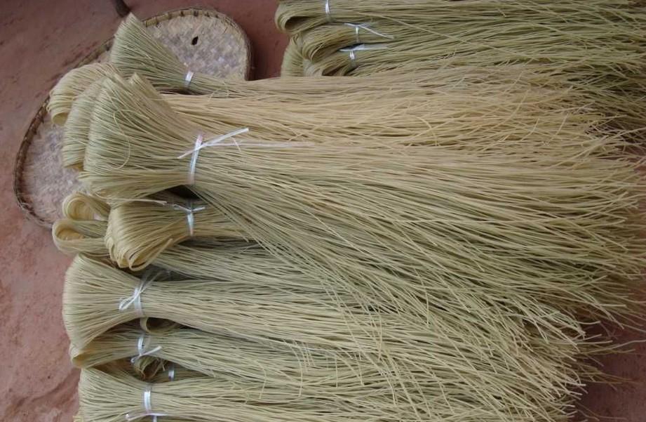 紅薯粉條機類型怎么劃分？按照產量、工藝和自動化程度