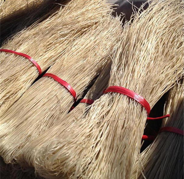 關于自動化粉條機設備的4個專業問題解答