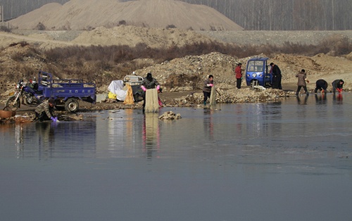 粉條機(jī)的市場前景分析