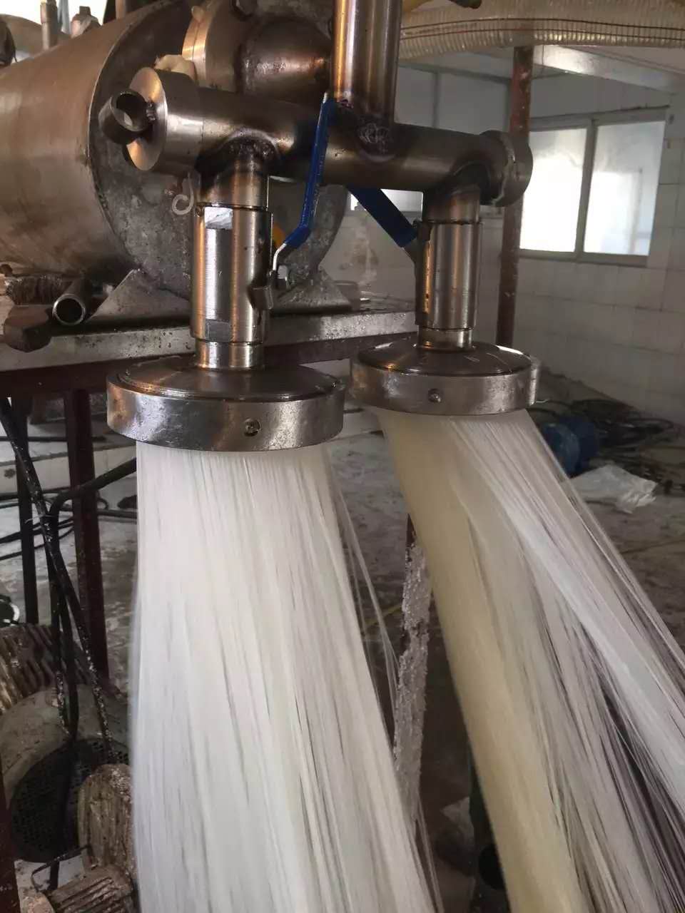 擠出式粉條機(jī)