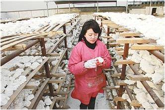 淀粉干燥3個方式，孰優孰劣，一看就知道