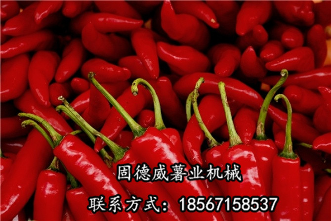 b7f841902e3a1bb8c89dc8e206294324.jpg