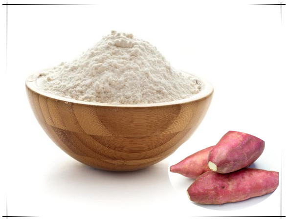 紅薯粉條加工 全自動紅薯粉條機制作流程