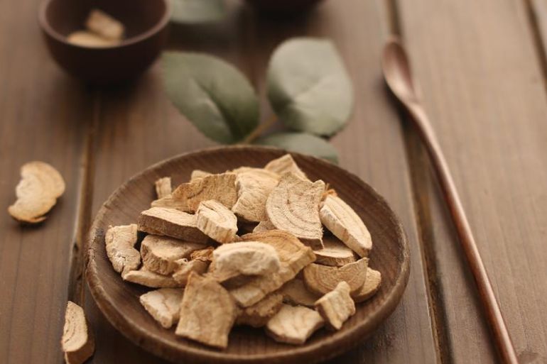 葛根是地里的“瑰寶”   很多人卻不知其藥效