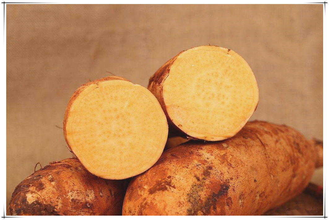 紅薯對人體究竟有哪些益處呢？