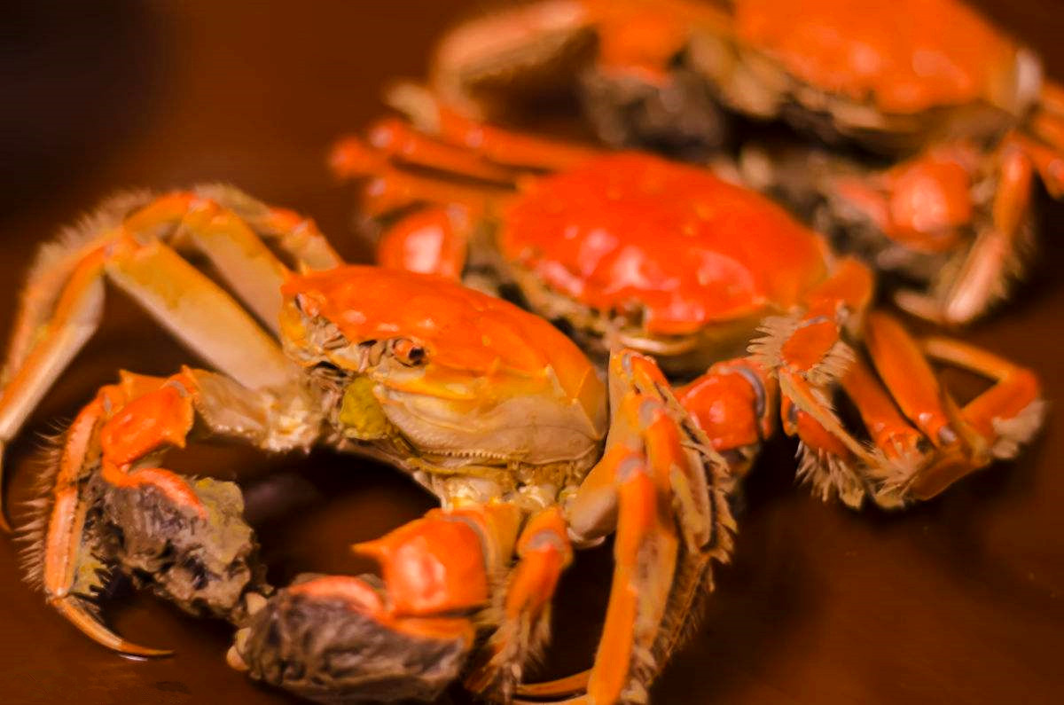 紅薯和它天生是&ldquo;仇敵&rdquo; 不要貪嘴同食 趕快告訴家人！