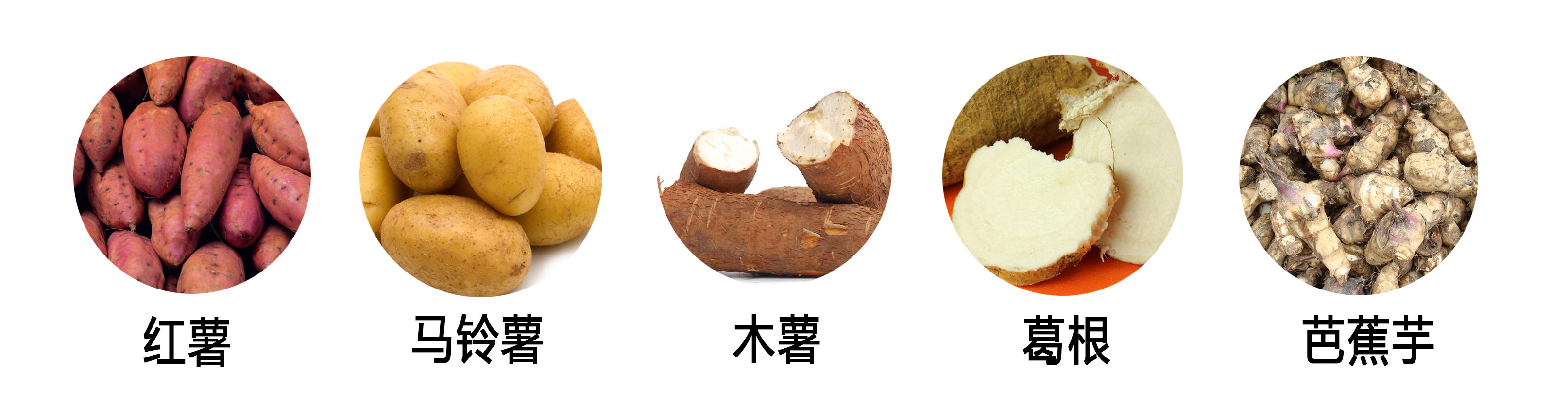 生產制作紅薯粉絲粉條，你需要兩套設備！